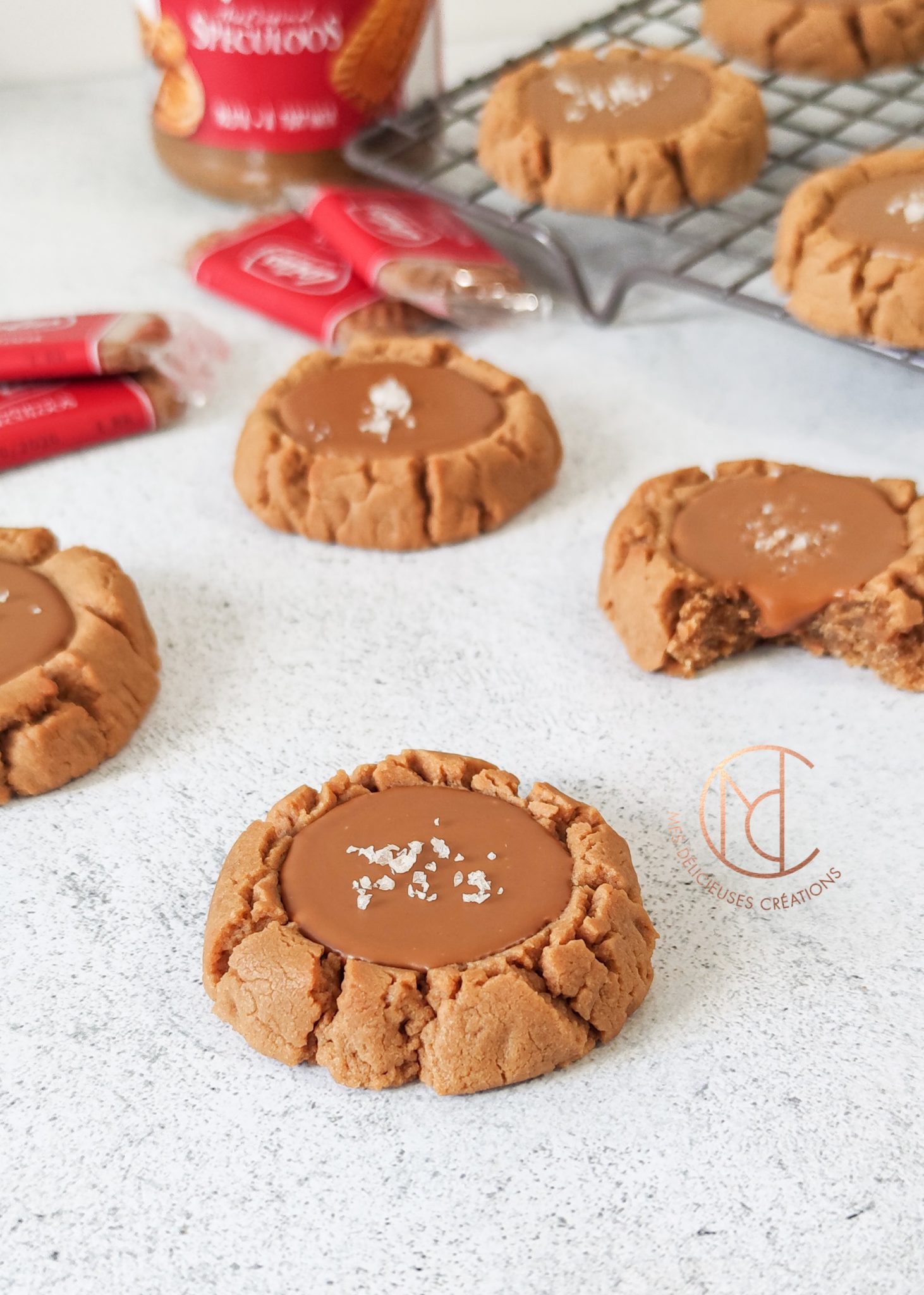 Biscuits express Spéculoos Mes Délicieuses Créations