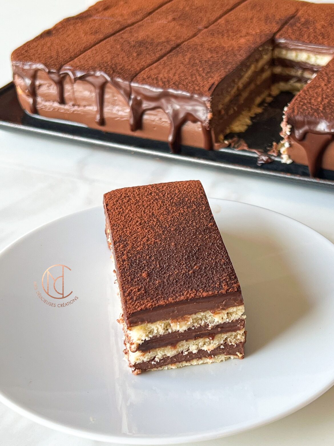 gâteau crémeux chocolat sans cuisson