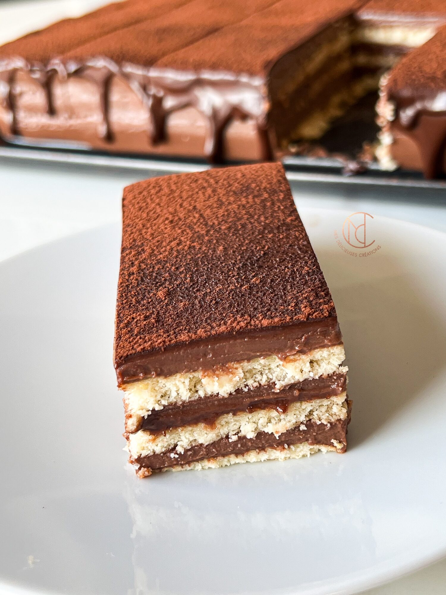 recette gâteau crémeux chocolat sans cuisson